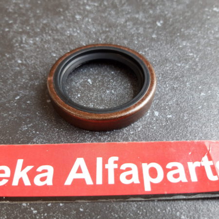 Alfa Romeo Alfasud / Dichtring / Krukaskeerring / AR 101007 /