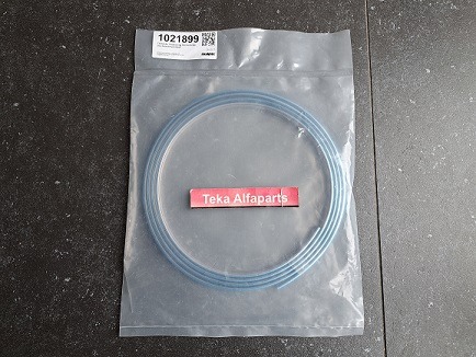 Skandix 1021899 / Sierlijst Achterruit / Zierleiste Heckscheibe / Trim Moulding Rear Window / Saab 95 / Saab 96